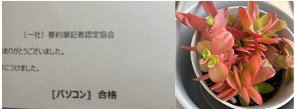 （一社）要約筆記者認定協会とパソコン合格の文字の通知書の一部と多肉植物が添えられた画像